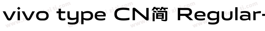 vivo type CN简 Regular字体转换